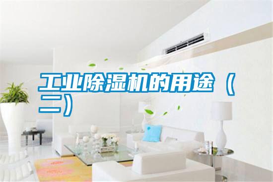 工業除濕機的用途（二）