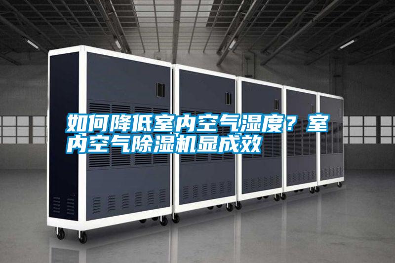 如何降低室內空氣濕度？室內空氣除濕機顯成效