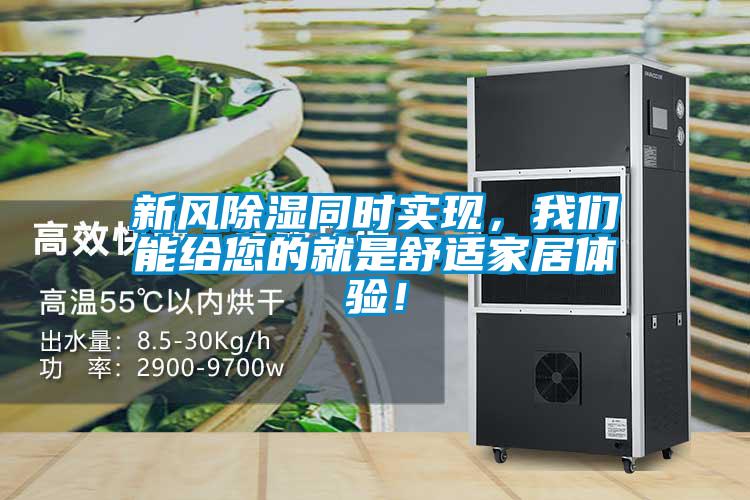 新風除濕同時實現,我們能給您的就是舒適家居體驗!