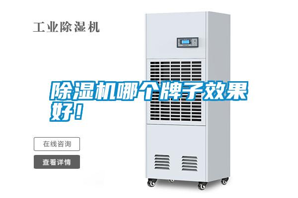 除濕機哪個牌子效果好!