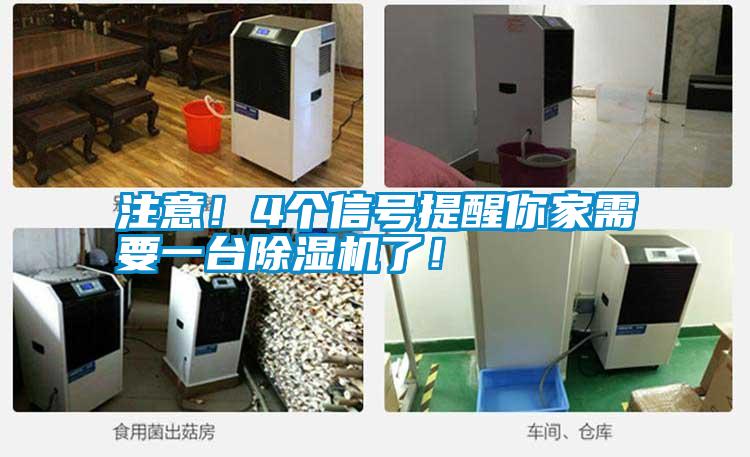 注意!4個信號提醒你家需要一臺除濕機了!