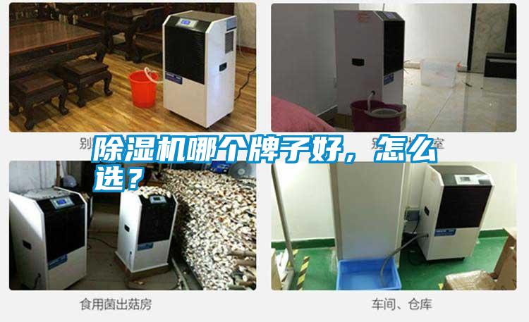 除濕機(jī)哪個(gè)牌子好，怎么選？