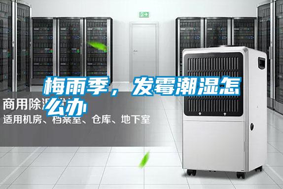 梅雨季，發(fā)霉潮濕怎么辦