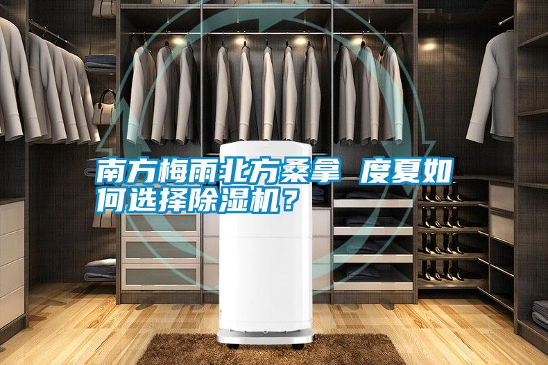 南方梅雨北方桑拿 度夏如何選擇除濕機?