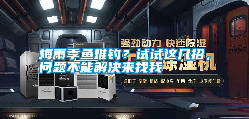 梅雨季魚難釣?試試這幾招,問題不能解決來找我