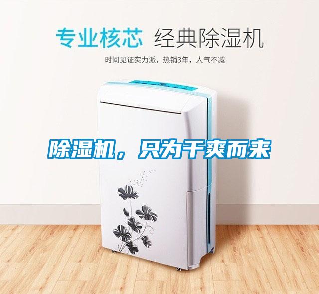 除濕機,只為干爽而來
