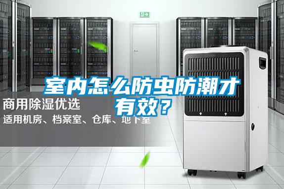 室內怎么防蟲防潮才有效?