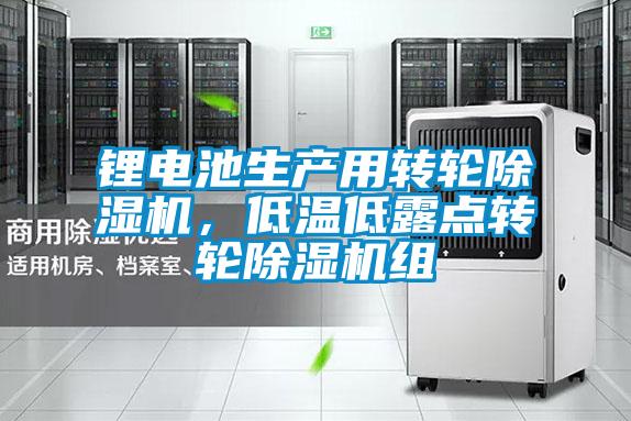 鋰電池生產用轉輪除濕機,低溫低露點轉輪除濕機組