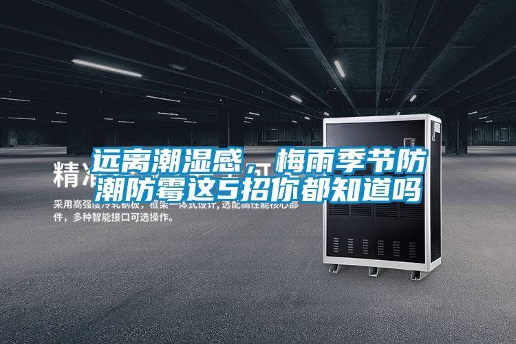 遠(yuǎn)離潮濕感,梅雨季節(jié)防潮防霉這5招你都知道嗎