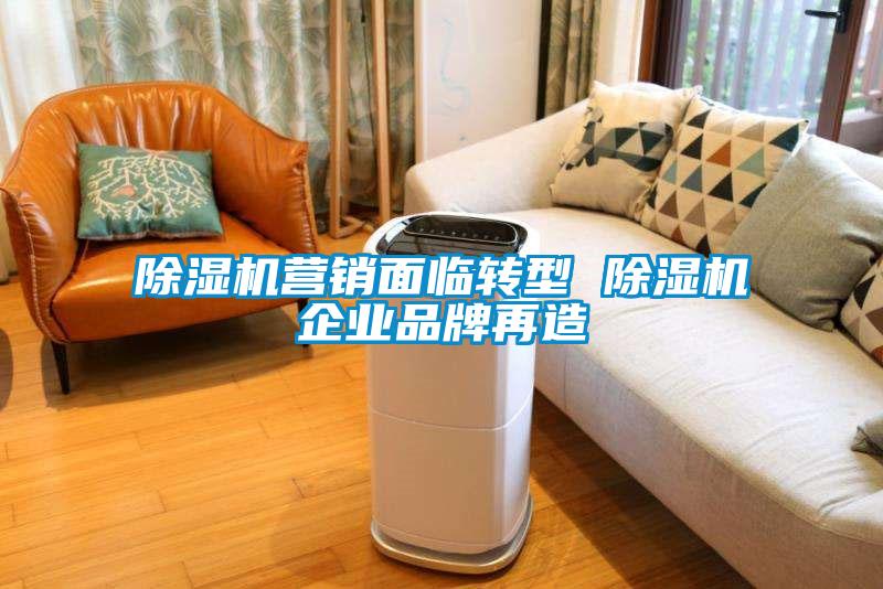 除濕機(jī)營銷面臨轉(zhuǎn)型 除濕機(jī)企業(yè)品牌再造