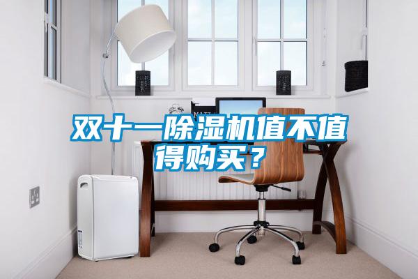 雙十一除濕機(jī)值不值得購買?