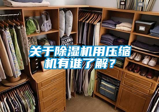 關(guān)于除濕機(jī)用壓縮機(jī)有誰(shuí)了解?