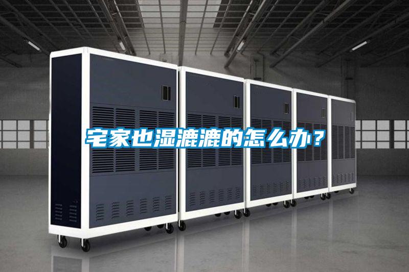 宅家也濕漉漉的怎么辦？