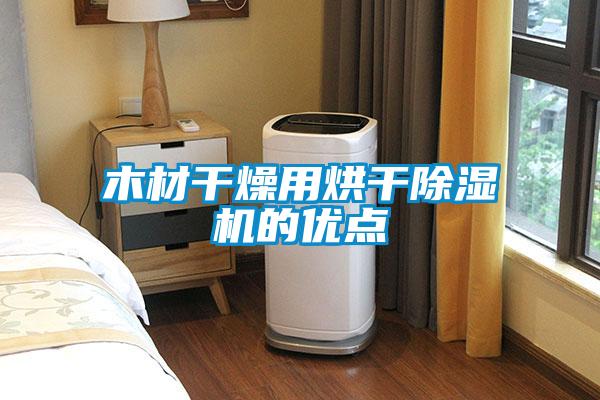 木材干燥用烘干除濕機的優點