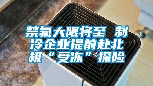 禁氟大限將至 制冷企業提前赴北極“受凍”探險