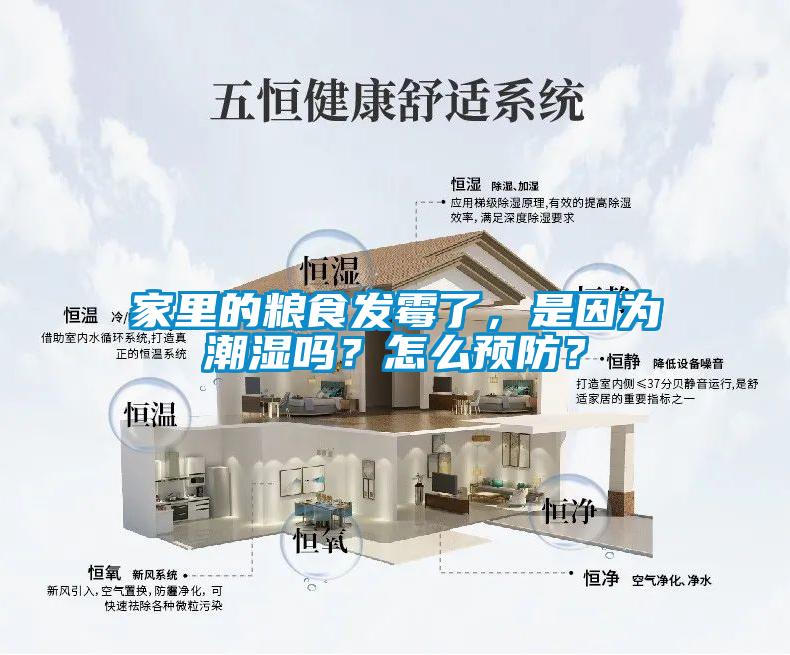 家里的糧食發(fā)霉了,是因?yàn)槌睗駟幔吭趺搭A(yù)防?