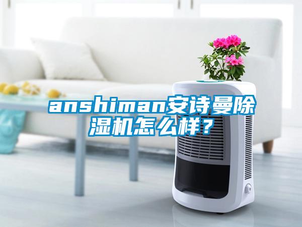 anshiman安詩曼除濕機怎么樣?