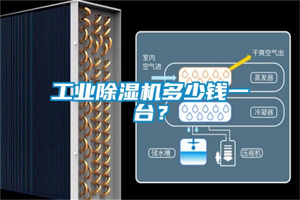 工業除濕機多少錢一臺?