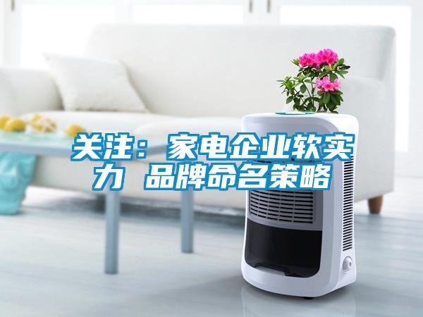 關注:家電企業軟實力 品牌命名策略