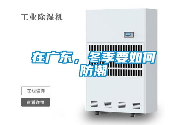 在廣東,冬季要如何防潮
