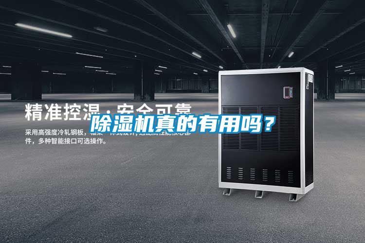 除濕機真的有用嗎？