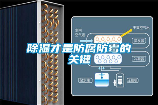 除濕才是防腐防霉的關鍵