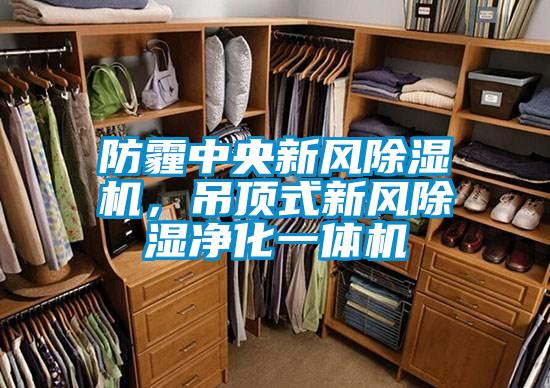 防霾中央新風(fēng)除濕機(jī),吊頂式新風(fēng)除濕凈化一體機(jī)