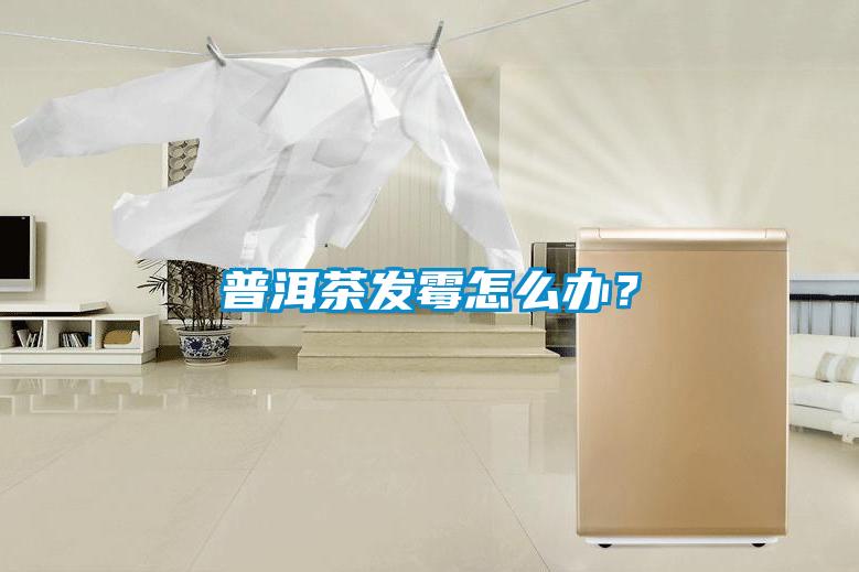 普洱茶發(fā)霉怎么辦？