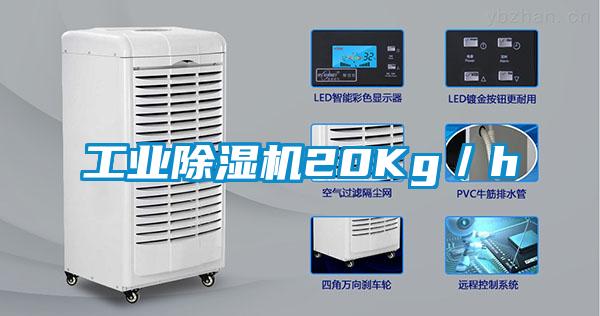工業除濕機20Kg/h