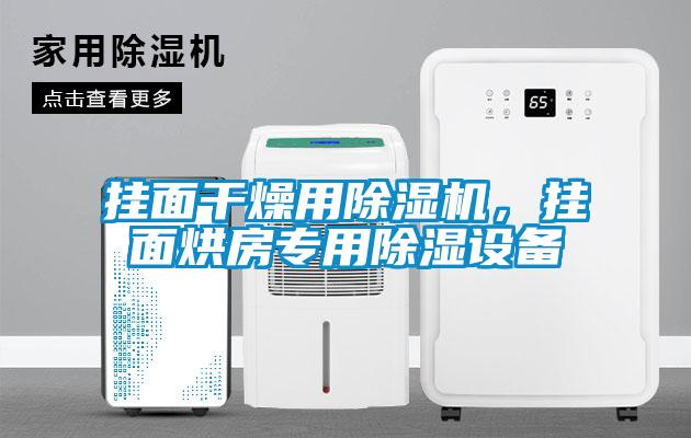 掛面干燥用除濕機,掛面烘房專用除濕設備