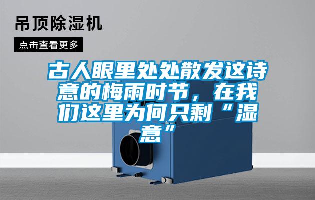 古人眼里處處散發這詩意的梅雨時節,在我們這里為何只剩“濕意”