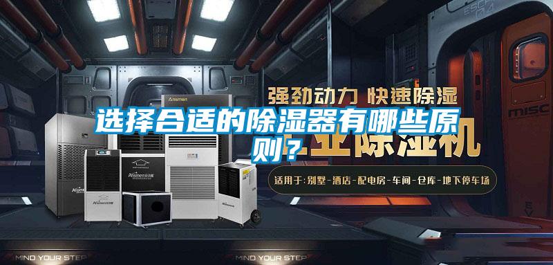 選擇合適的除濕器有哪些原則?