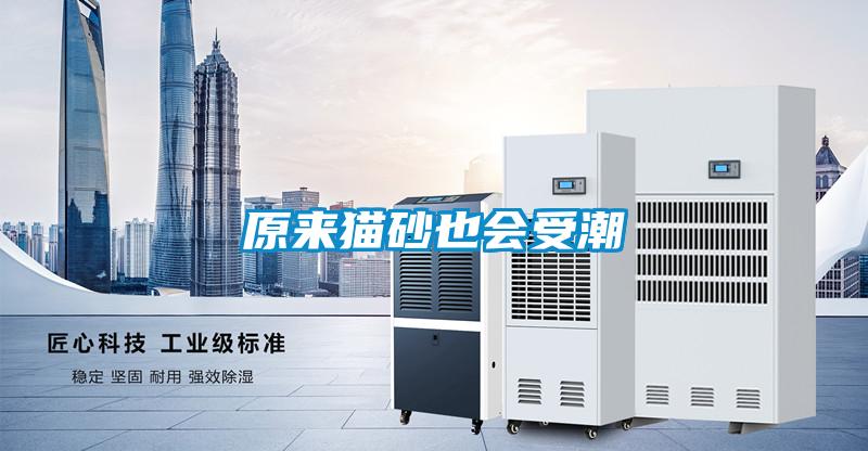 原來(lái)貓砂也會(huì)受潮