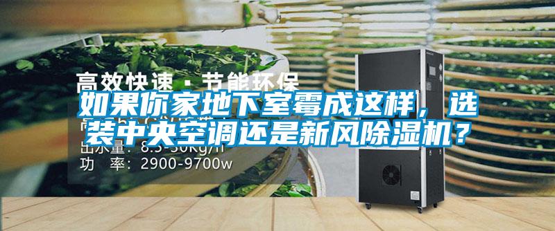 如果你家地下室霉成這樣,選裝中央空調(diào)還是新風(fēng)除濕機(jī)?