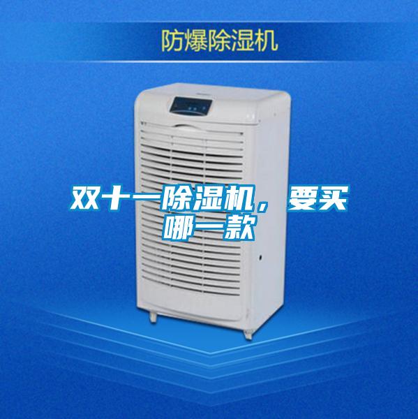 雙十一除濕機,要買哪一款