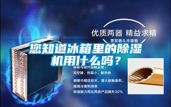 您知道冰箱里的除濕機(jī)用什么嗎?