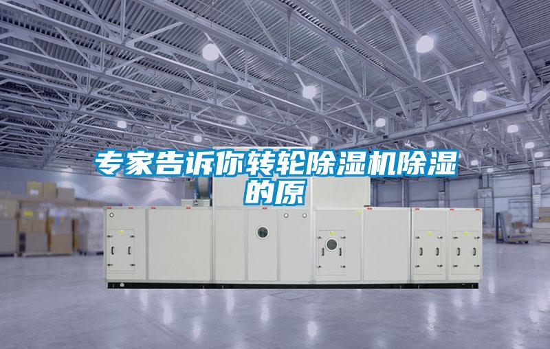 專家告訴你轉輪除濕機除濕的原