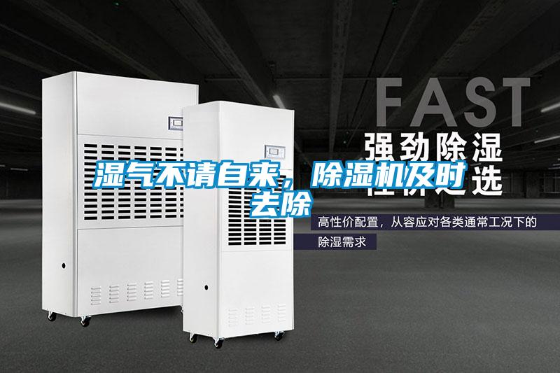 濕氣不請自來,除濕機及時去除