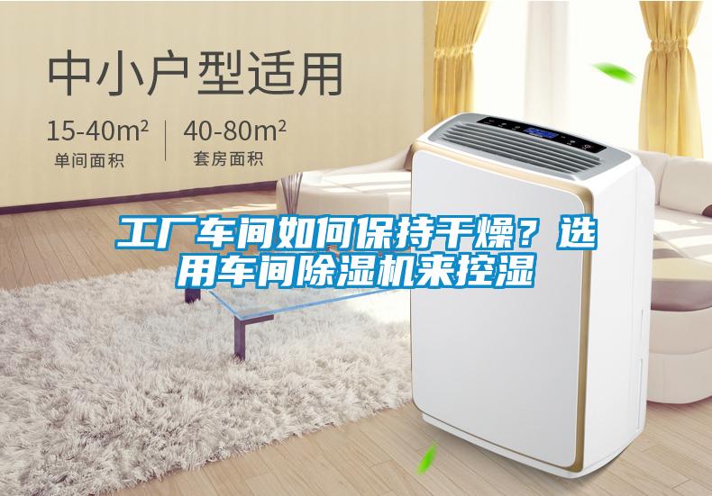 工廠車間如何保持干燥?選用車間除濕機來控濕