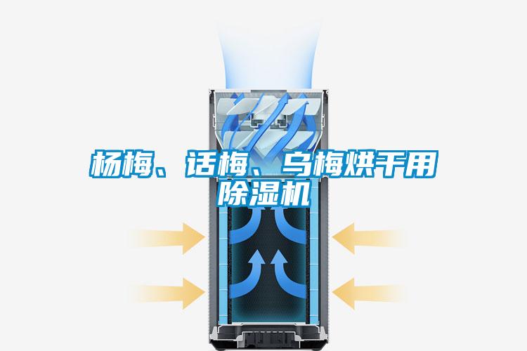 楊梅、話梅、烏梅烘干用除濕機