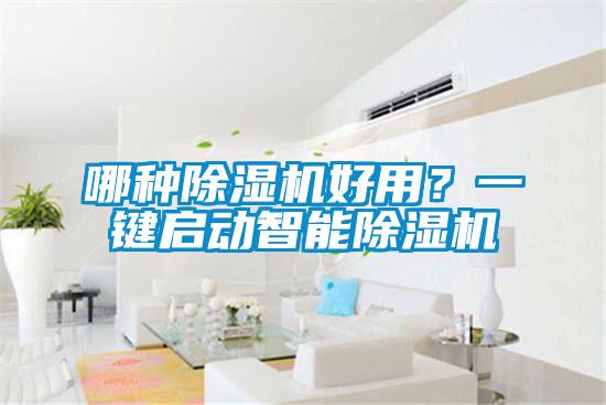 哪種除濕機好用？一鍵啟動智能除濕機
