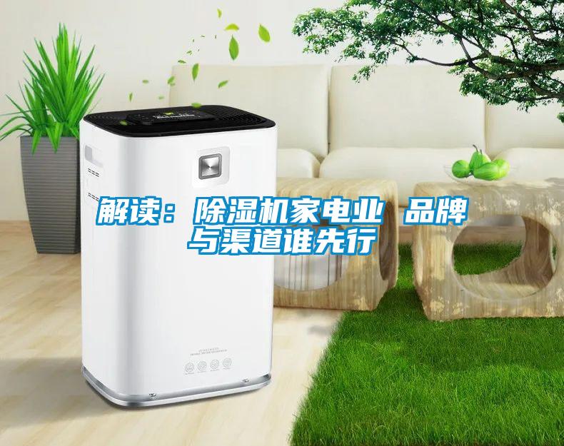 解讀:除濕機(jī)家電業(yè) 品牌與渠道誰(shuí)先行