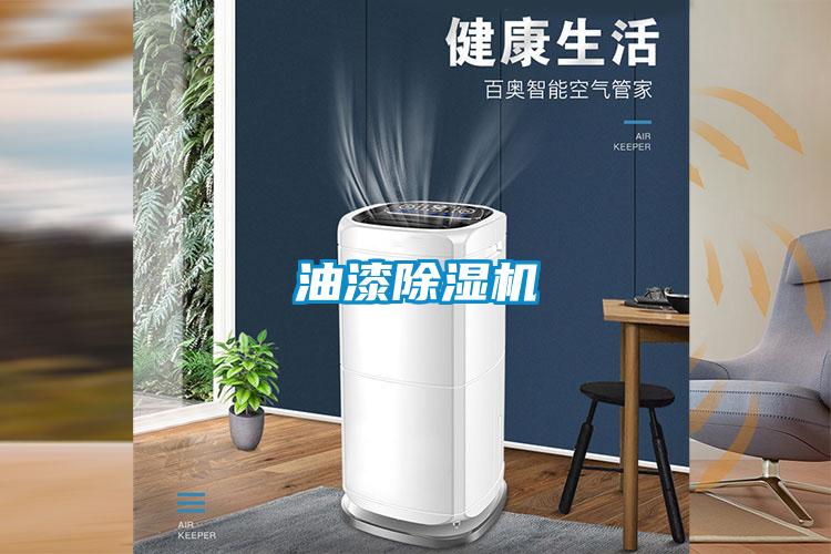 油漆除濕機