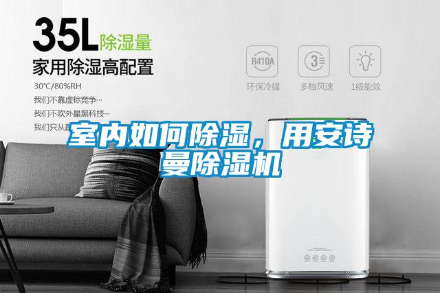 室內(nèi)如何除濕,用安詩曼除濕機
