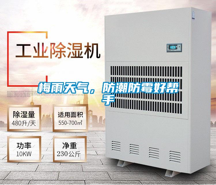 梅雨天氣,防潮防霉好幫手