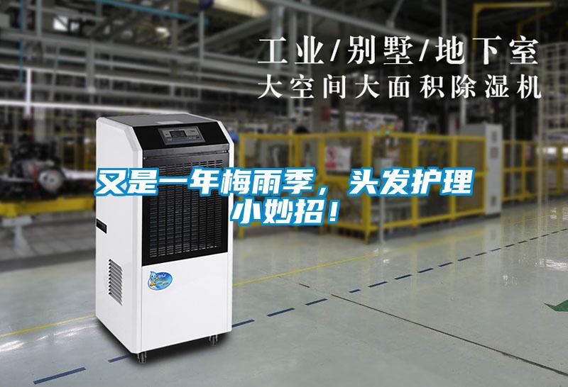 又是一年梅雨季，頭發(fā)護(hù)理小妙招！