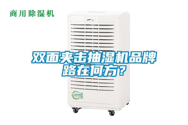 雙面夾擊抽濕機(jī)品牌路在何方?