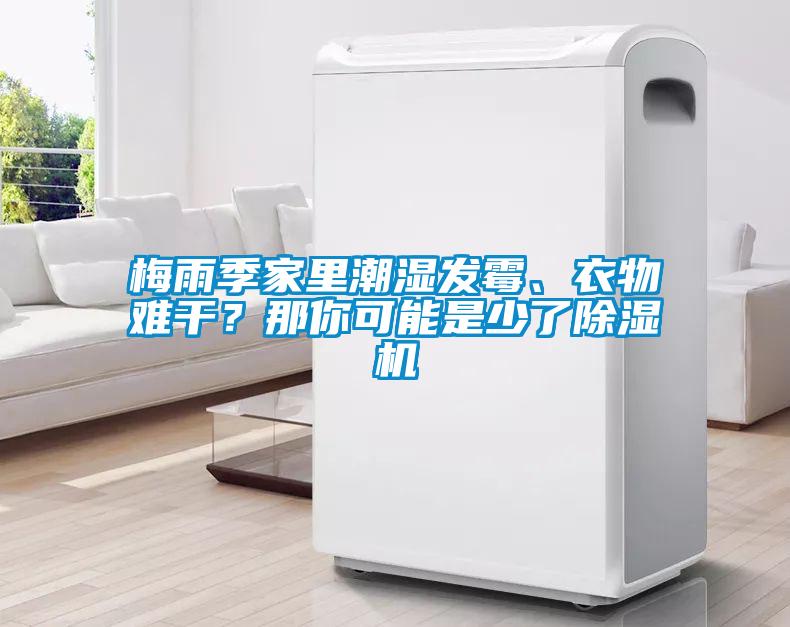 梅雨季家里潮濕發(fā)霉、衣物難干？那你可能是少了除濕機(jī)