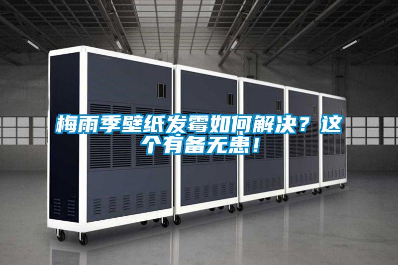 梅雨季壁紙發霉如何解決？這個有備無患！