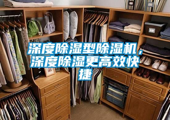深度除濕型除濕機,深度除濕更高效快捷
